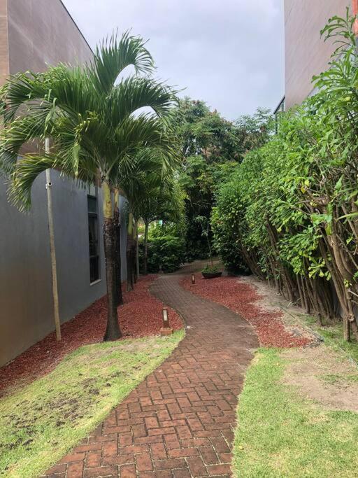Village Amplo E Aconchegante! Solaris Imbassai Mata de Sao Joao Luaran gambar